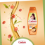 Image de Cadum argan, 380ml