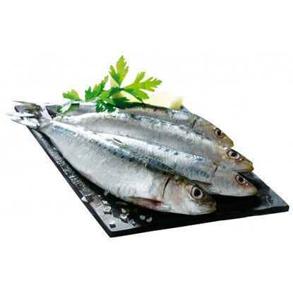 Image sur Sardine | سردين