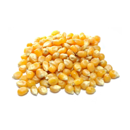 Image sur Maîs PopCorn, 1kg